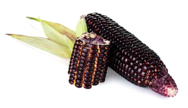istock Siam Ruby Queen is super sweet corn with red color, can be eaten fresh, isolated on a white background with clipping path 1124653062