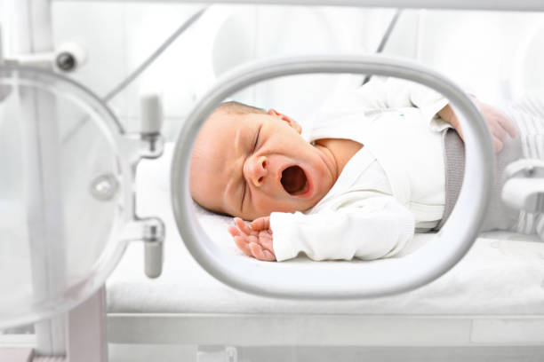 インキュベーターで生まれたばかりの赤ちゃん。 - maternity clinic ストックフォトと画像