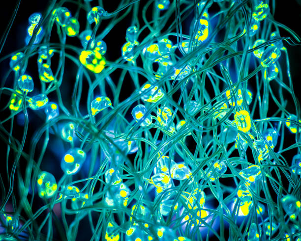 istock Full Frame Shot Of Illuminated Lights At Night 1124659497
