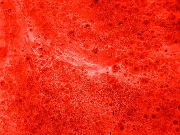 istock Coral color empty blank wall surface cement concrete texture background for web and print 1124660009