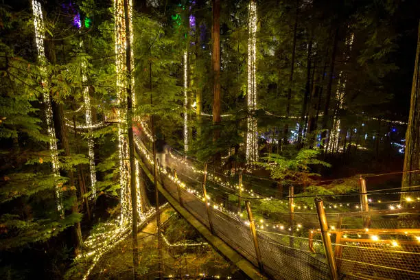 Photo of Suspension Bridge