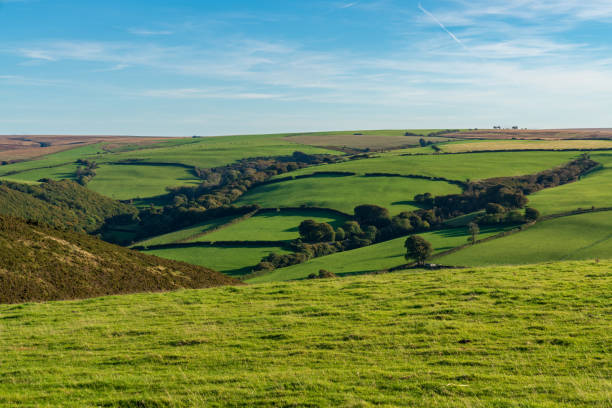 istock Exmoor landscape, Somerset, England, UK 1124670695