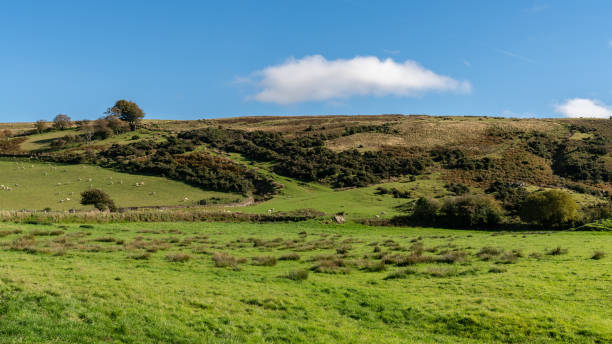 istock Exmoor landscape, Somerset, England, UK 1124670719