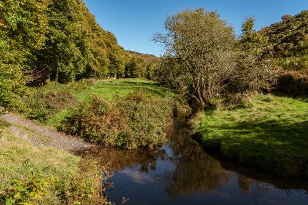 istock Rural road in Exmoor, England, UK 1124670859