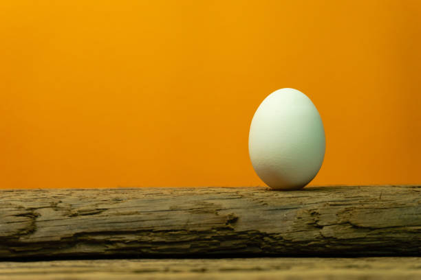 istock Egg on a old oak wooden table orange background. 1124674765