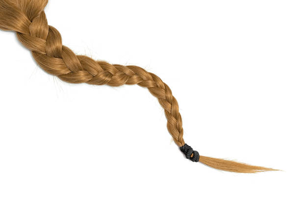 白い背景の上に三つ編み。分離した茶色の髪 - braided ストックフォトと画像