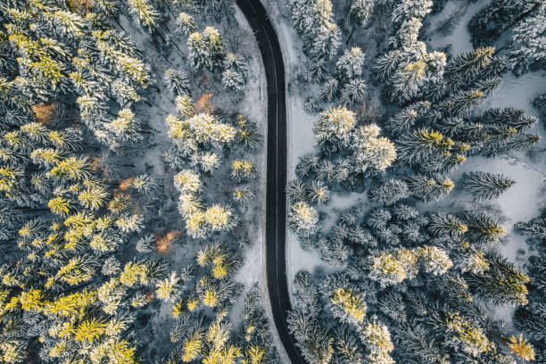 istock Winter Alpine empty road after heavy snow fall 1124676365