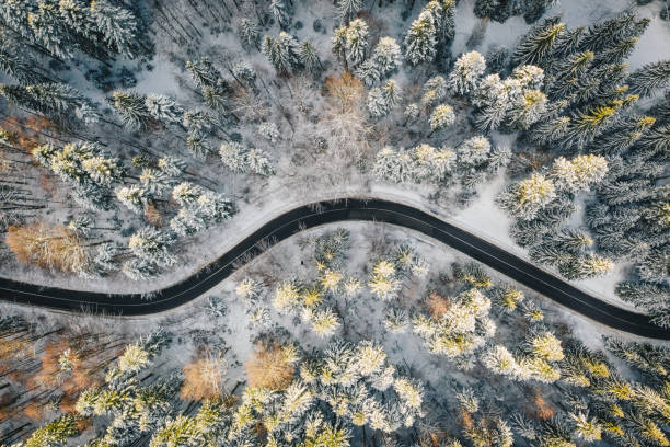 istock Winter road surrounded by trees covered in snow 1124678306