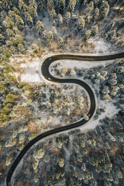 istock Drone road in the middle of the forest 1124678812