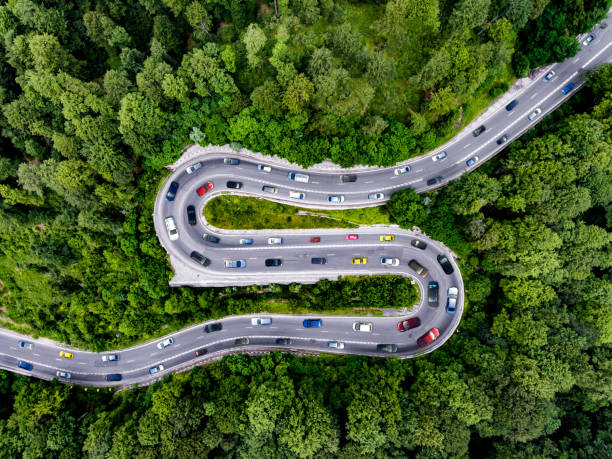 istock Curved bending road in the forest 1124686124