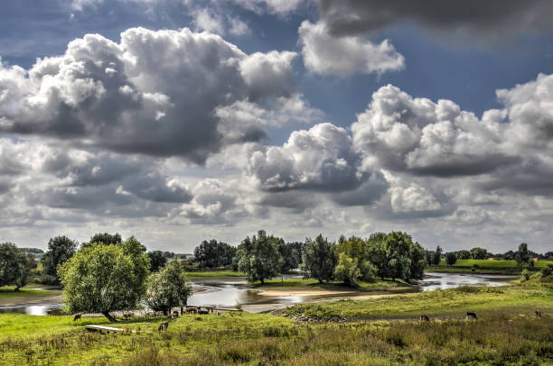 Landscape along the St. Lawrence River with a strip of land covered in trees on the horizon. The sky is dominated by large, fluffy white cumulus clouds against a blue sky background