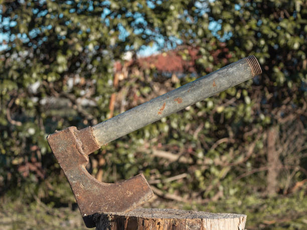 istock rusty metallic axe embedded in wood cheap poor green background 1124689893