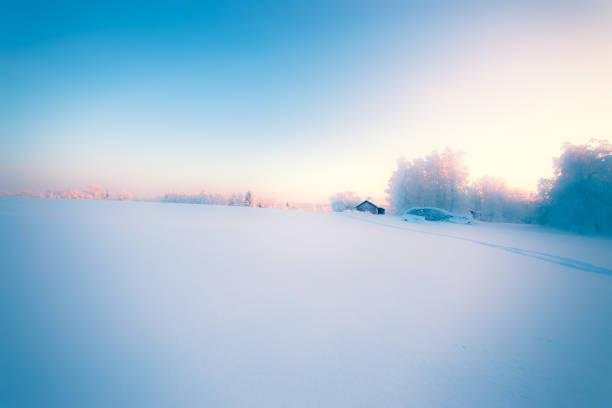 Winter landscape from Sotkamo, Finland.