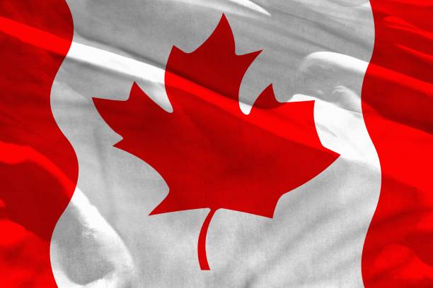 istock Waving Canada flag for using as texture or background, the flag is fluttering on the wind 1124690798