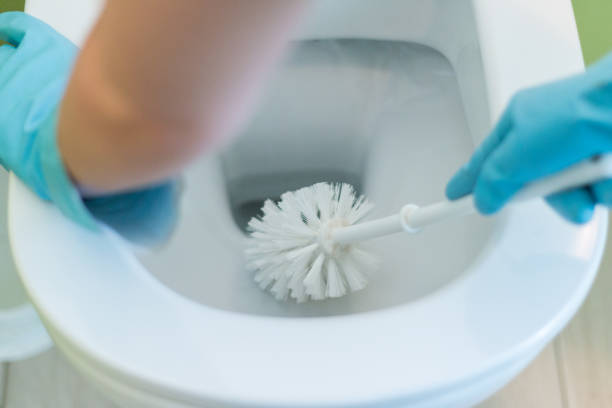 Scrubbing toilet Scrubbing toilet toilet brush photos stock pictures, royalty-free photos & images
