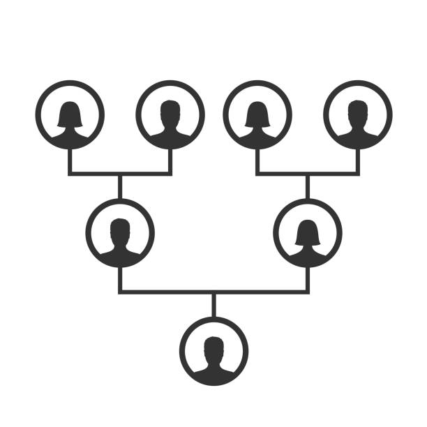 illustrations, cliparts, dessins animés et icônes de modèle de graphique d’arbre généalogique, généalogie ou de descendance. arbre généalogique de votre famille icones infographie avatars portraits dans des cadres circulaires reliés par des lignes. liens entre les membres de la famille. bloodline - multi generation family isolated people silhouette