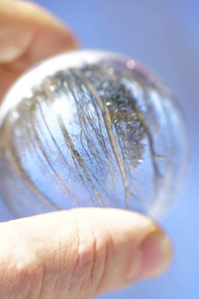 istock Trees and sun against blurred cloudy background in Crystal ball 1124701838