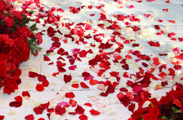 istock Wooden floor, strewn with rose petals 1124705310