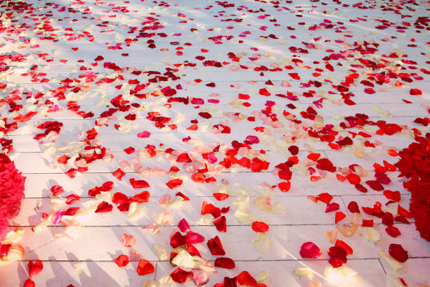 Wooden floor, strewn with rose petals