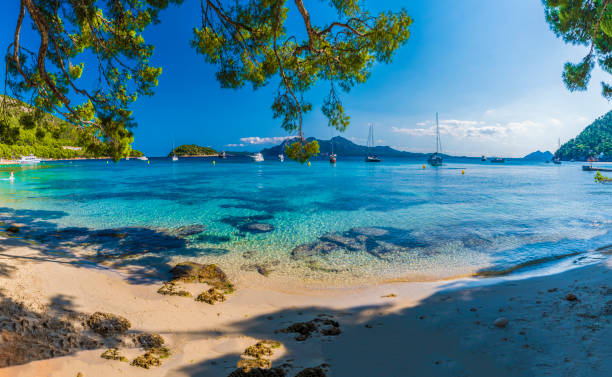 pláž formentor, palma mallorca - mallorca - stock snímky, obrázky a fotky