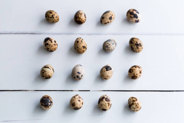 istock Overhead view of fresh quail eggs on wooden surface 1124709230