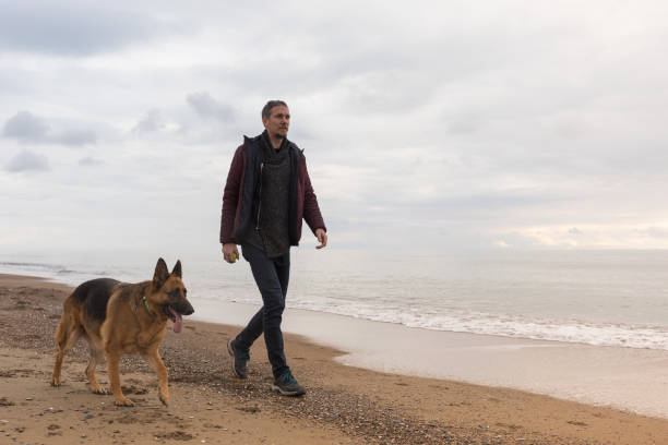 Young man playing with his dog on beach.