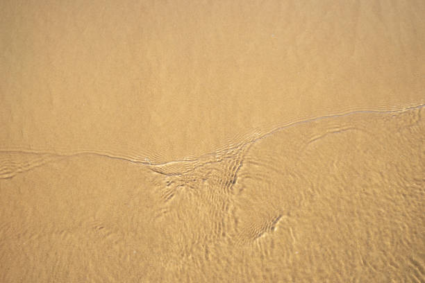 istock Wave sea on the sandy beach of the Baltic 1124711320