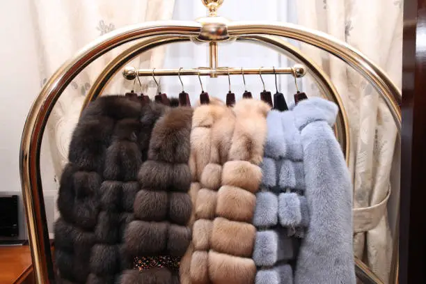 Chic expensive fur coats