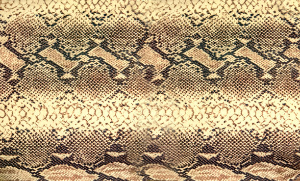 texture della pelle di serpente. sfondo rettili senza cuciture per il design. - reticulated foto e immagini stock