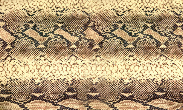 Snake skin texture. Reptile seamless background for design.