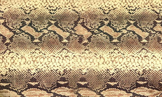 textura de pele de cobra. réptil sem costura plano de fundo para o projeto. - reticulated - fotografias e filmes do acervo