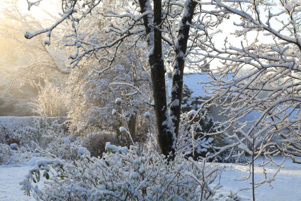 istock Snowy house and garden 1124716786