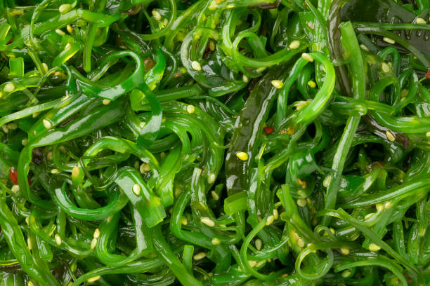 istock Green organic Japanese Waskame salad 1124717790