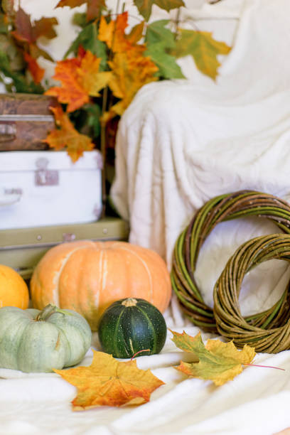 istock Autumn composition with dry leaves and ripe pumpkins 1124719604