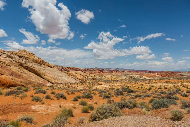 istock Scenic View Of Desert Against Sky 1124719966