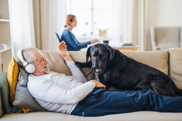 un heureux couple de personnes âgées à l’intérieur avec un chien à la maison, à l’aide d’ordinateur portable et un casque. - male animal audio photos et images de collection