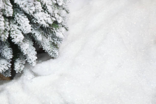 istock Snow background with a fragment of the tree 1124721923
