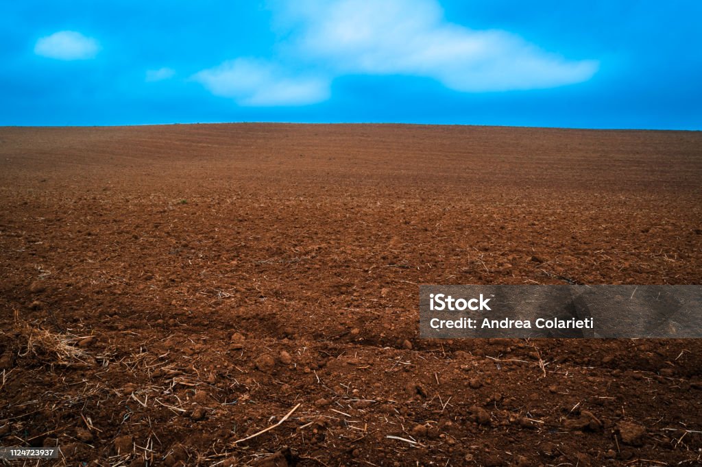 Cultivated land with plates and plants collected with blue sky Accidents and Disasters Stock Photo