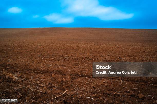 Cultivated Land With Plates And Plants Collected With Blue Sky Stock Photo - Download Image Now