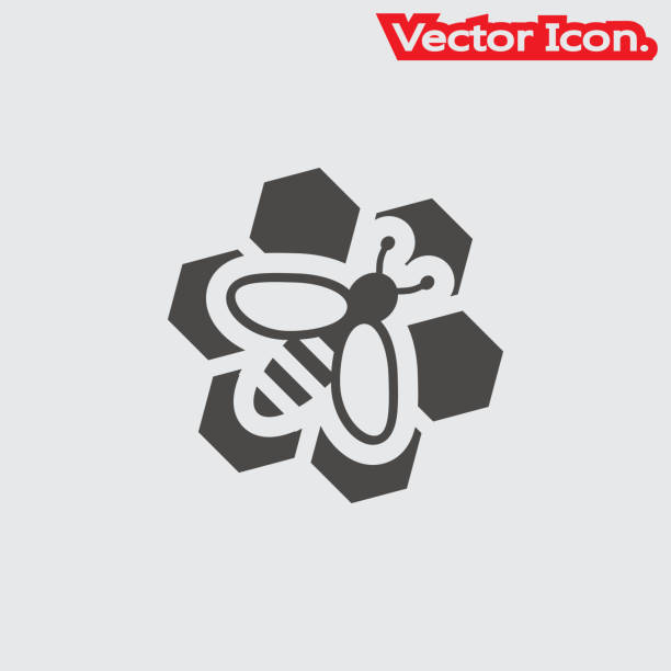 Honeycomb icon isolated sign symbol and flat style for app, web and digital design. Honeycomb icon isolated sign symbol and flat style for app, web and digital design. Vector illustration. abstract beehive stock illustrations