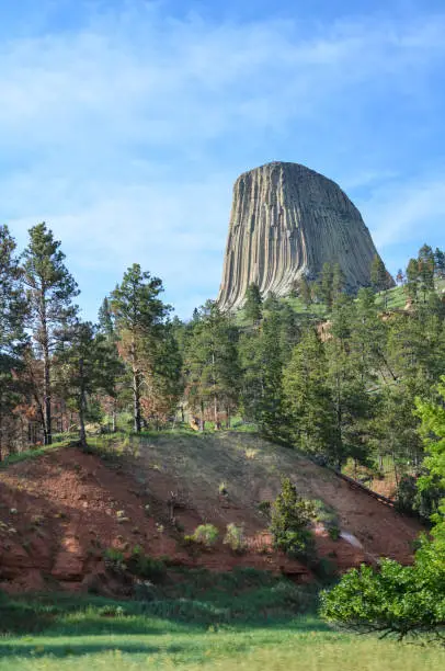 Devil's Tower National Monument framed by trees on a bright summer day