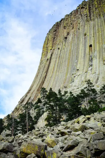 Side view of Devlis Tower National Monument in Wyoming. Portrait orientation