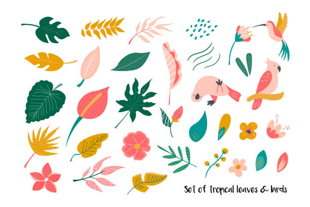 Big set of bright tropical leaves and birds. Vector illustration Big set of bright tropical leaves and birds. Vector illustration. tropical climate illustrations stock illustrations