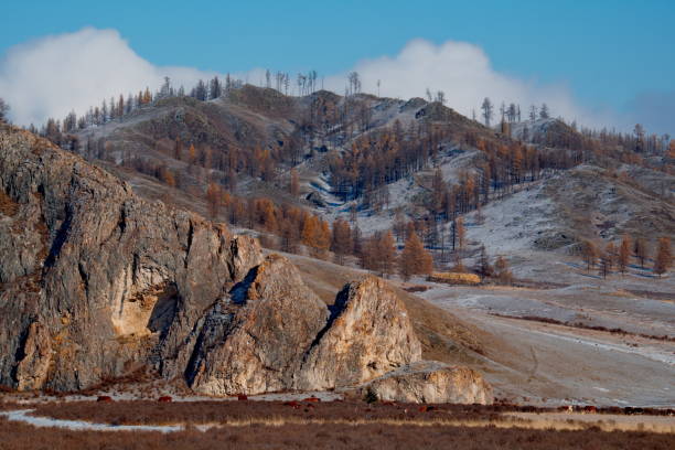 istock Late autumn in the Altai expanses. 1124734773