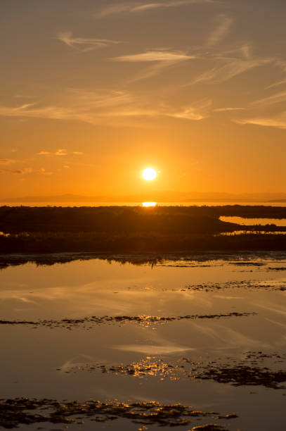 istock Sunset in the ebro delta by the sea 1124734953