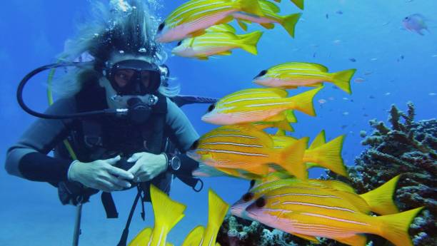 istock Woman scuba diver and yellow fish 1124739244