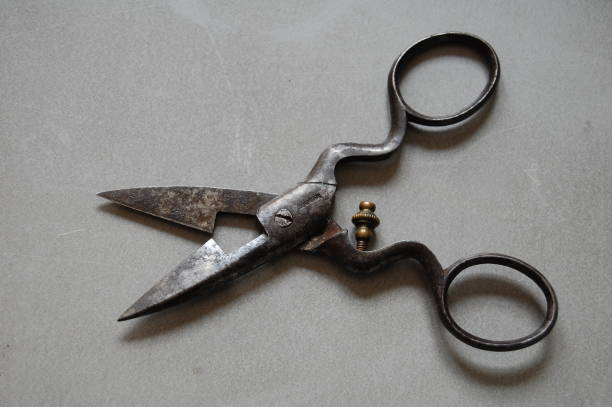 istock A pair of antique buttonhole - scissors. 1124740455