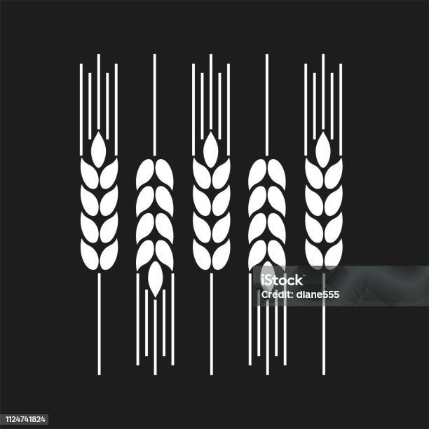 Wheat Design Element Stock Illustration - Download Image Now - Ear Of Wheat, Wheat, Vector