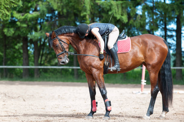 istock Young lady riding a horse at equestrian school. Training process 1124742169