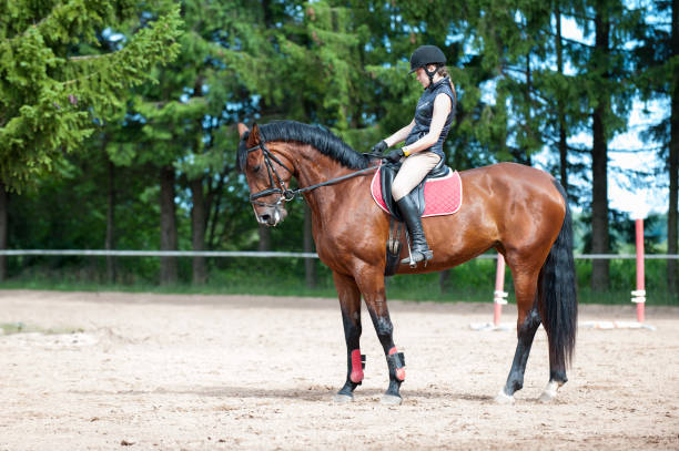 istock Young lady riding a horse at equestrian school. Training process 1124742419